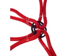 Gummispannbänder/Gummizüge Spinne CARGO CORD SPIDER BASIC 80, 80 cm, 8 Arme