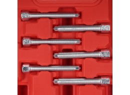 Universeller Satz zur Demontage von Lagern MECHANIC BEARING PULLER 7, 31-tlg.
