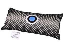 Entfeuchtungskissen fürs Auto DRY CAR BIG BAG 1000 g