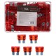 Satz Flachsicherungen fürs Auto MECHANIC FUSE SET 10A, 100 St.