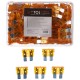 Satz Flachsicherungen fürs Auto MECHANIC FUSE SET 5A, 100 St.