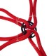 Gummispannbänder/Gummizüge Spinne CARGO CORD SPIDER BASIC 80, 80 cm, 8 Arme