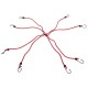 Gummispannbänder/Gummizüge Spinne CARGO CORD SPIDER BASIC 120, 120 cm, 8 Arme