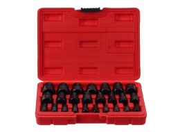 Satz zum Entfernen beschädigter Schrauben und Muttern MECHANIC NUT REMOVER 2, 25-tlg.