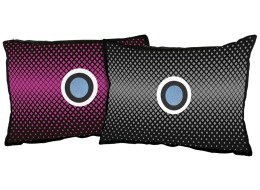 Set Entfeuchtungskissen fürs Auto DRY CAR 2 x 350 g
